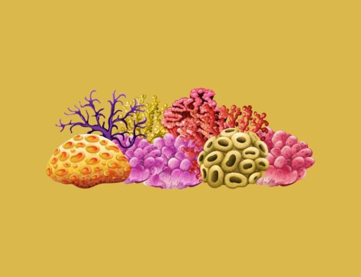 El objetivo es aumentar significativamente los volúmenes de reproducción de corales en condiciones controladas.