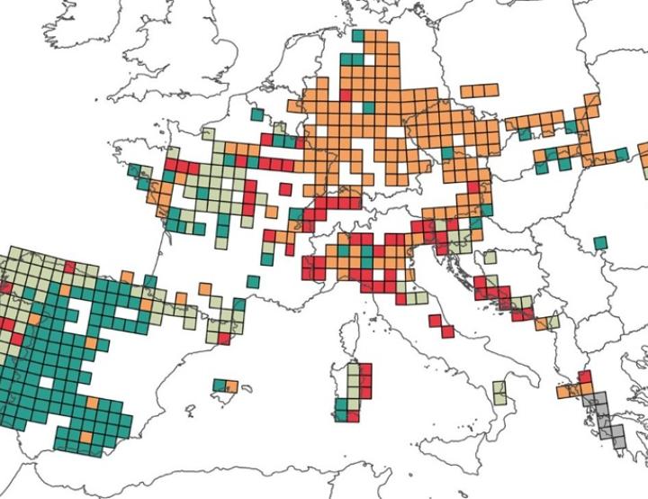 Investigadores del MNCN-CSIC analizan zonas vulnerables para la conservación de anfibios en Europa.