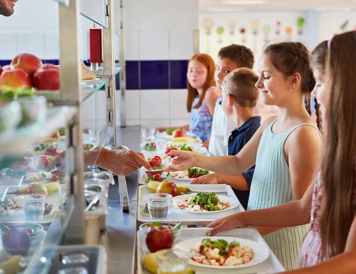 A través de dinámicas educativas, el proyecto busca concienciar sobre cómo las decisiones diarias en nuestra alimentación, tales como optar por alimentos locales y de temporada, impactan significativamente en el medioambiente.