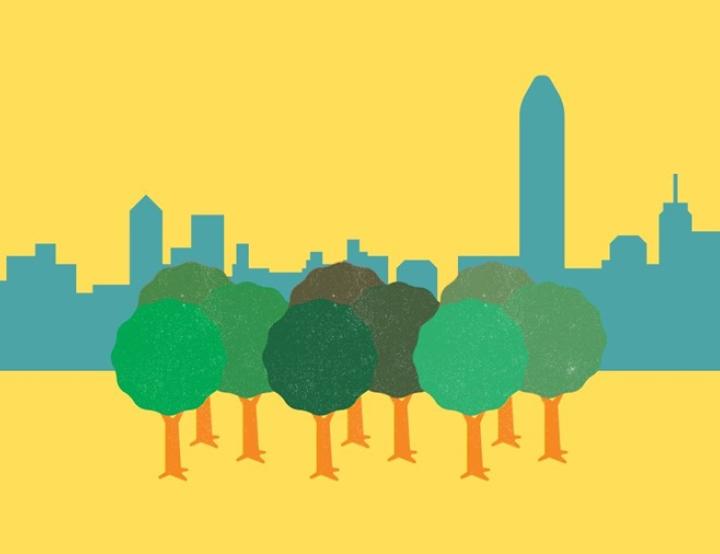 Los árboles tienen la capacidad de reducir entre 0,4 y 0,9 °C la temperatura en zonas urbanas.