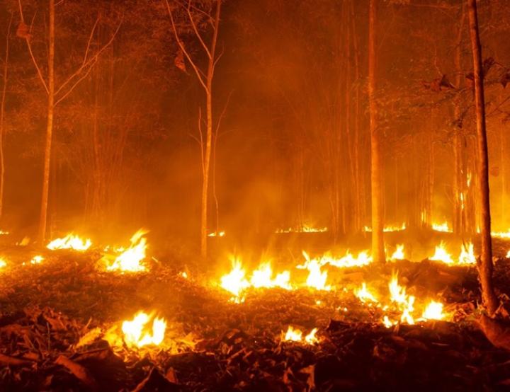 La proporción de fuegos que superan las 500 hectáreas ha aumentado y, con ellos, el riesgo para personas, ecosistemas y poblaciones.