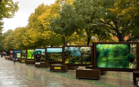 La exposición está compuesta por 52 imágenes sobre diversos espacios naturales de la Tierra.