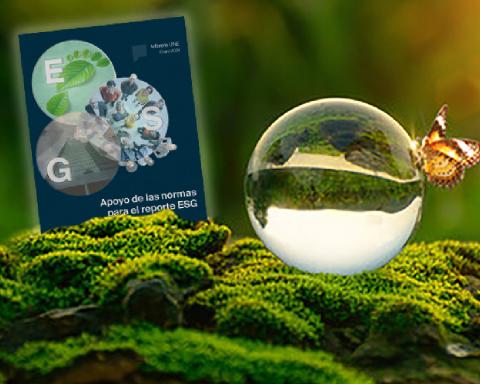 Las normas facilitan a las organizaciones su progreso en los objetivos ESG.