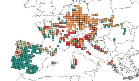 Investigadores del MNCN-CSIC analizan zonas vulnerables para la conservación de anfibios en Europa.