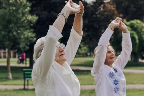 Las actividades del programa de Personas Mayores de la Fundación ”la Caixa” promueven el bienestar, el aprendizaje y la participación activa en una sociedad cada vez más longeva y digital.