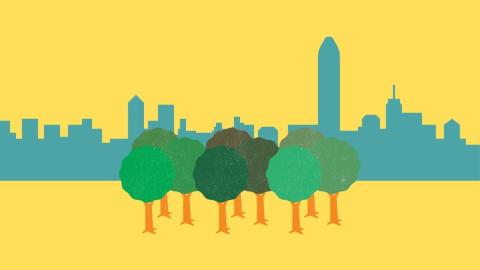 Los árboles tienen la capacidad de reducir entre 0,4 y 0,9 °C la temperatura en zonas urbanas.