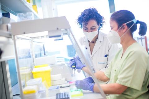 La doctora Carmen de Mendoza con una persona de su equipo en el Hospital Puerta de Hierro.