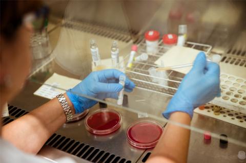 La entidad destinará 3,4 millones de euros a esta iniciativa.