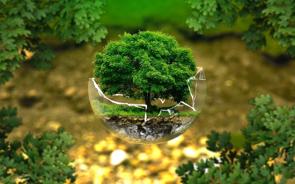 El fondo persigue promover el cuidado y preservación del medioambiente.