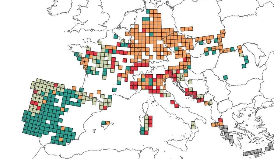 Investigadores del MNCN-CSIC analizan zonas vulnerables para la conservación de anfibios en Europa.