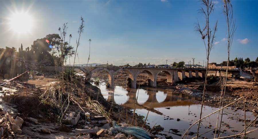 La vegetación en zonas de ribera o cercana a cauces ha sido arrasada, afectando a los hábitats de muchas especies. La vegetación en zonas de ribera o cercana a cauces ha sido arrasada, afectando a los hábitats de muchas especies.
