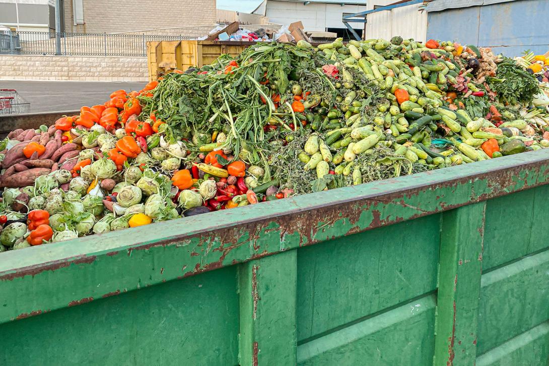 La FAO estima que en el mundo se desperdicia el 30% de los alimentos. La FAO estima que en el mundo se desperdicia el 30% de los alimentos.