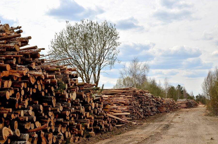 La presión que el ser humano ejerce en la destrucción del hábitat y la sobreexplotación está causando un impacto significativo en la biodiversidad y las comunidades ecológicas. La presión que el ser humano ejerce en la destrucción del hábitat y la sobreexplotación está causando un impacto significativo en la biodiversidad y las comunidades ecológicas.